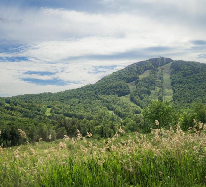 Condo Hotel Au Pied Du Mont Orford 객실 사진